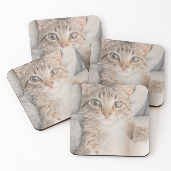 Item preview, Cute Kitten Retro Photo designed and sold by graemariedesign.