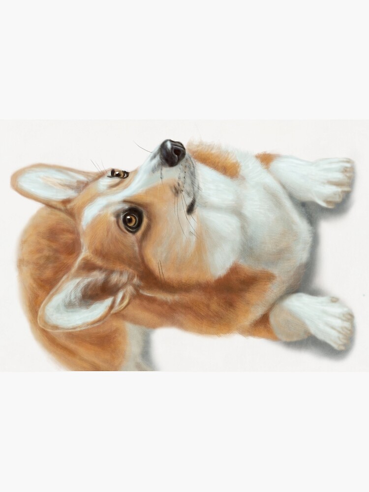 Cute Tri Color Pembroke Welsh Corgi Puppy Dog Jigsaw Puzzle