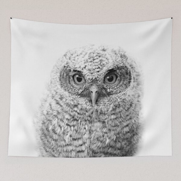 Item preview, Baby Owl Black & White Art Print by Zouzounio Art designed and sold by zouzounioart.
