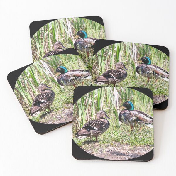 Item preview, Mallard Ducks designed and sold by Karen Granoski.