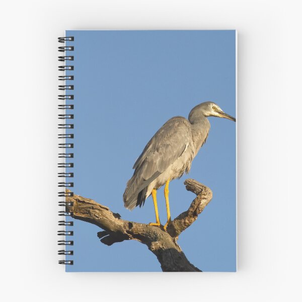 Item preview, Grey Heron designed and sold by David  Hibberd.