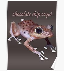 Chocolate Chip Coquí Poster