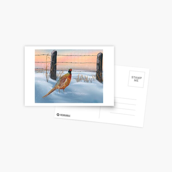 Pheasant in the Snow Postcard