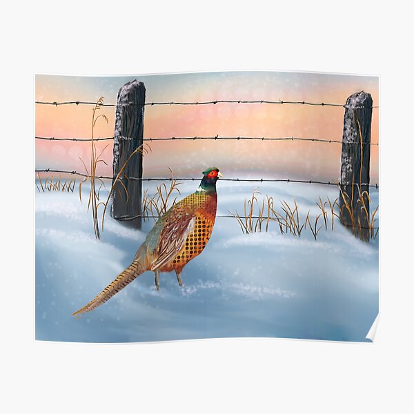 Pheasant in the Snow Poster