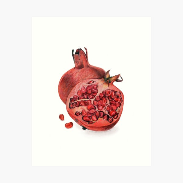 Beautiful Pomegranate Illustration Art Print