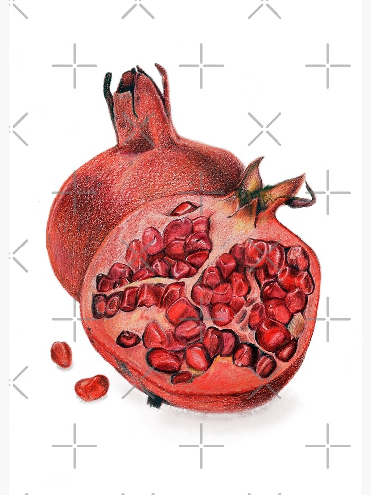Thumbnail 3 of 3, Poster, Beautiful Pomegranate Illustration designed and sold by qwollock.