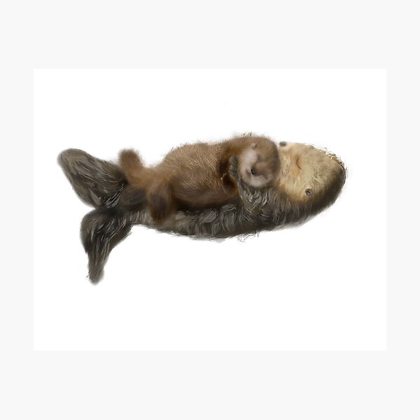 Decoracion Nutria Beb C3 Y Mam C3 A1 Redbubble