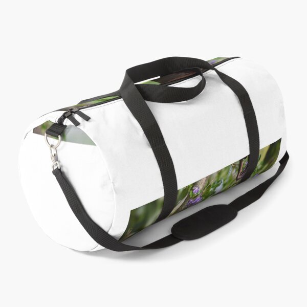Item preview, Lantern in the Garden designed and sold by TheaShutterbug.