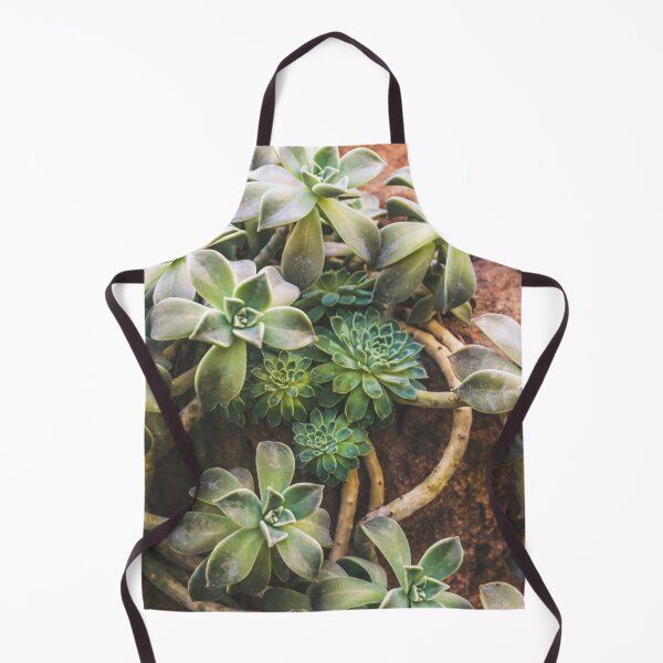 Item preview, Hens and Chicks designed and sold by Alex Tonetti Photography.