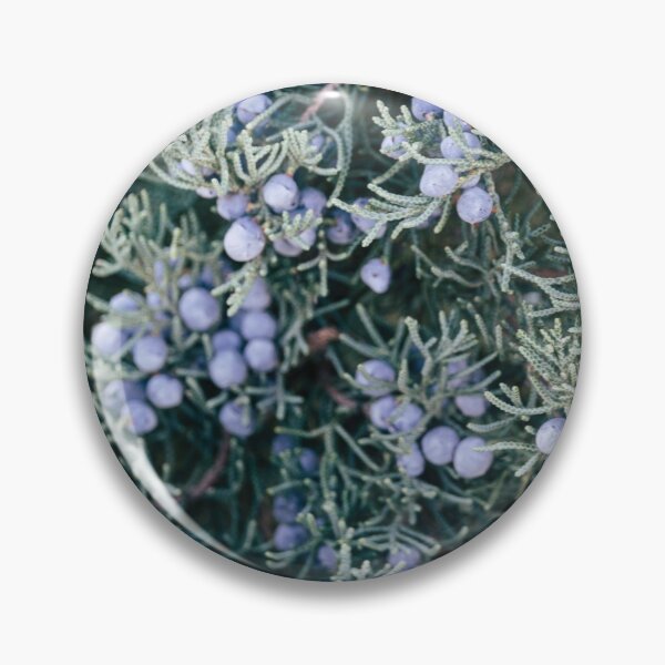 Item preview, Forest Berries designed and sold by Alex Tonetti Photography.