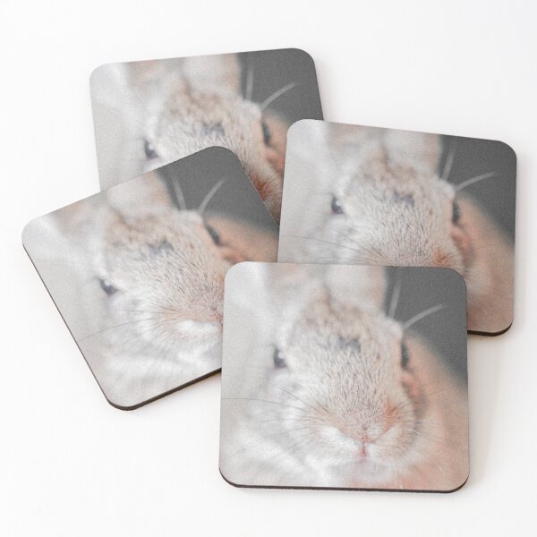 Item preview, Cute Bunny Nose and Ears Retro Photo designed and sold by graemariedesign.