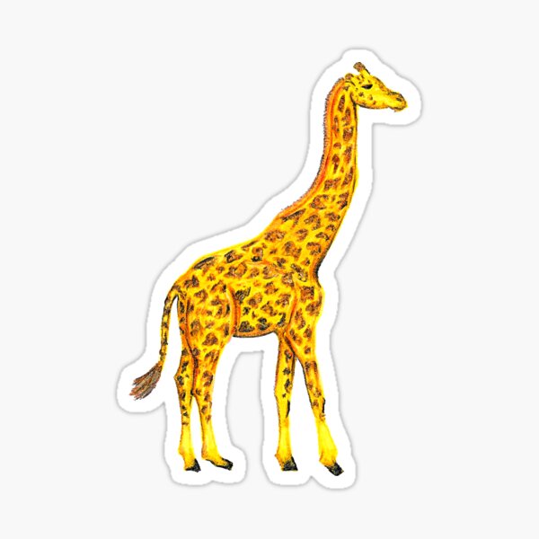 Giraffe Sticker