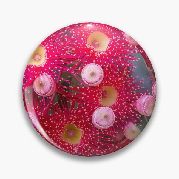 Item preview, Australian summer colour designed and sold by bunyipdesigns.
