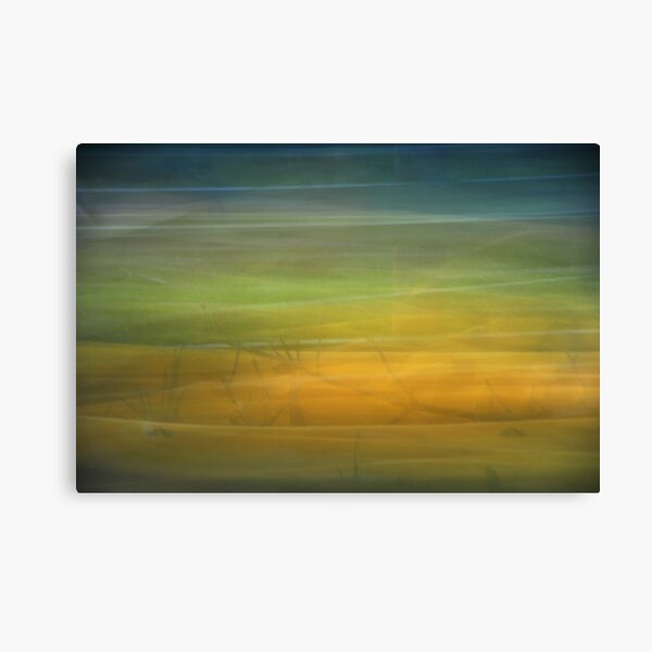 Kohanga landscape Canvas Print