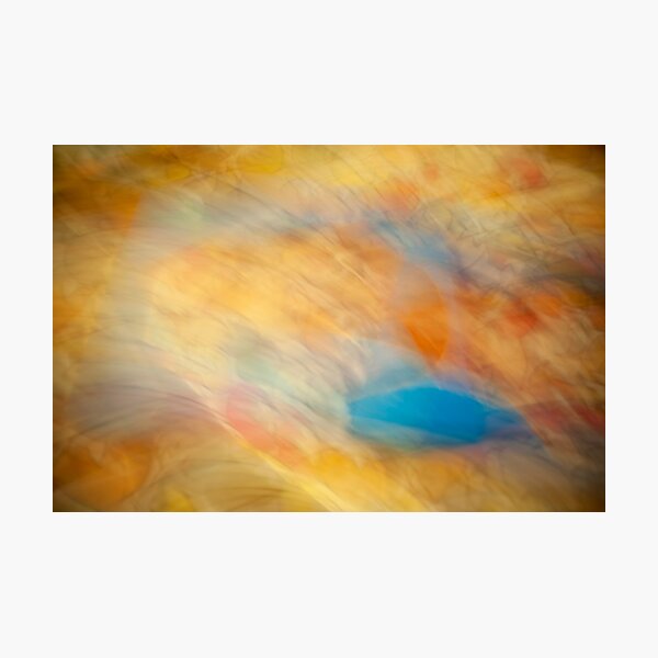 Kohanga landscape 2 Photographic Print