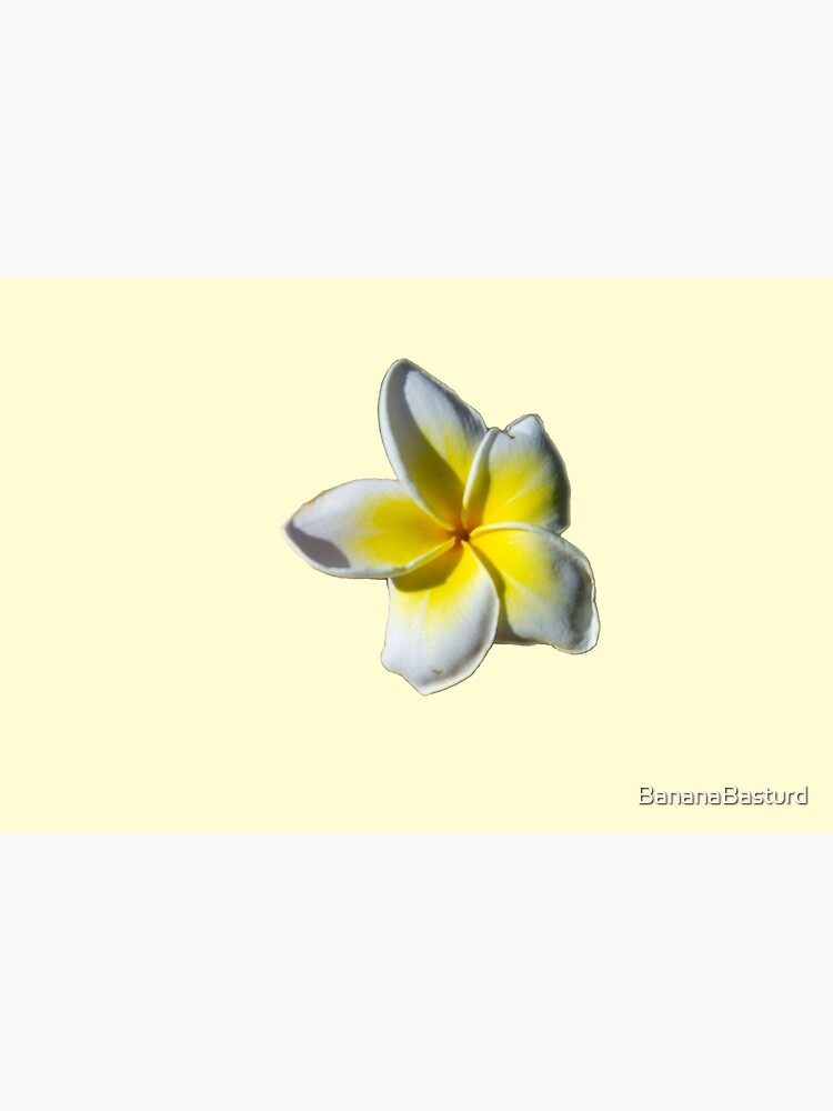 "Yellow Hannah Flower" Poster by BananaBasturd | Redbubble