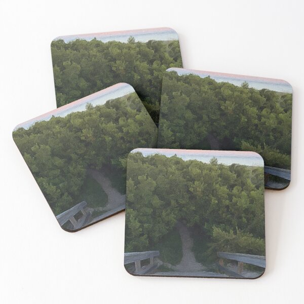 Item preview, Painting the Path to the Beach designed and sold by Autumn Seas Photography.