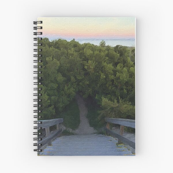 Item preview, Painting the Path to the Beach designed and sold by Autumn Seas Photography.