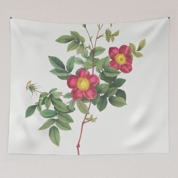 Item preview, Les Roses by Pierre-Joseph Redouté designed and sold by EsotericBotanic.