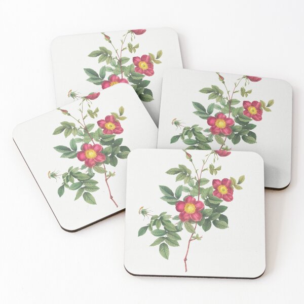Item preview, Les Roses by Pierre-Joseph Redouté designed and sold by EsotericBotanic.