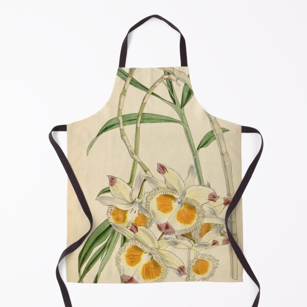 Item preview, Dendrobium devonianum designed and sold by EsotericBotanic.