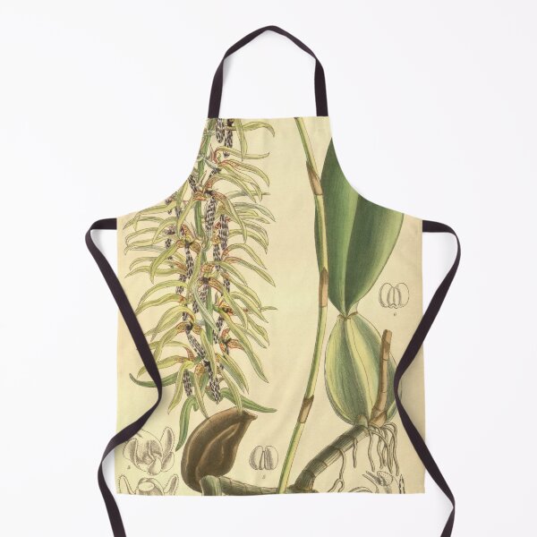 Item preview, Bulbophyllum weddelii designed and sold by EsotericBotanic.