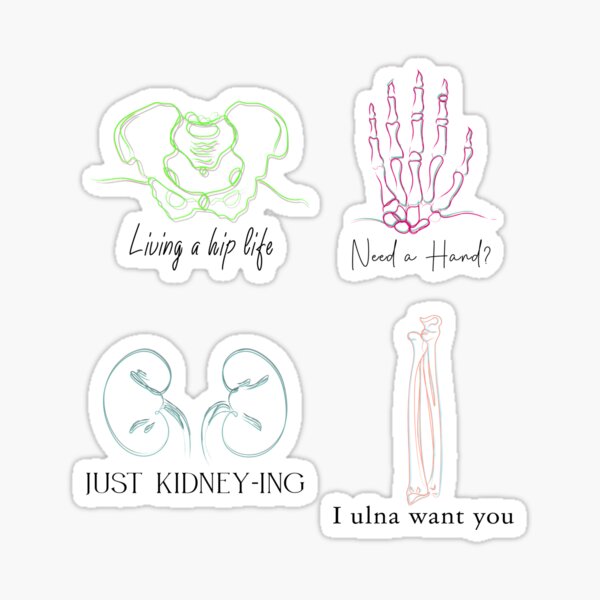 Anatomy Pack 2.0 Sticker