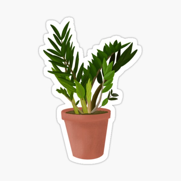 Zz Plant Gifts Merchandise Redbubble