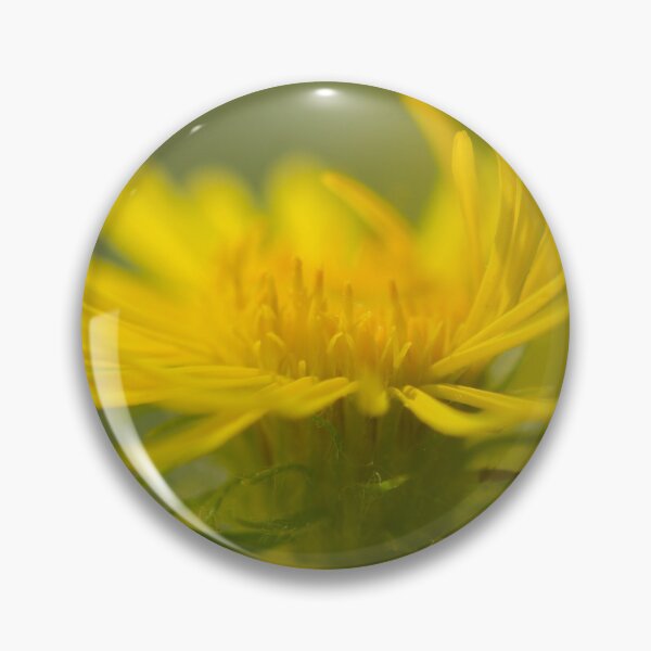 Artikelvorschau, all this yellow entworfen und verkauft von Nicole W..