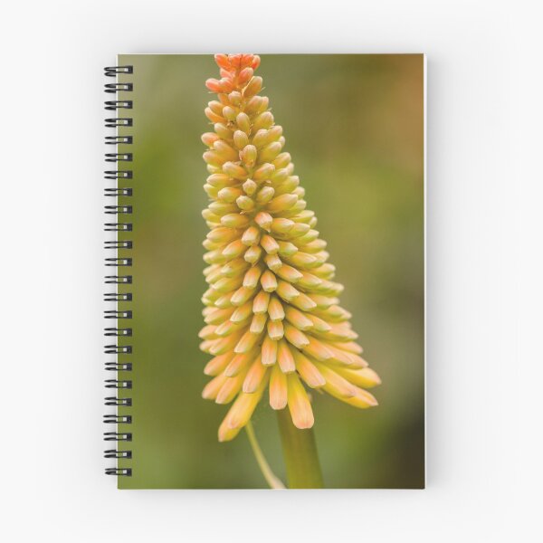 Item preview, Pointy designed and sold by Nicole W..