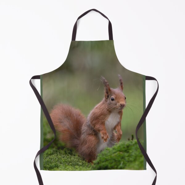 Item preview, Red Squirrel designed and sold by Nicole W..