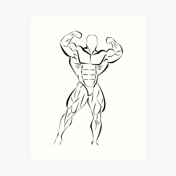 Bodybuilder Drawing - 60+ Bodybuilder Drawing for 2023