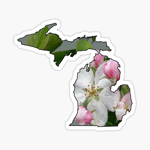 Apple Blossom Stickers Redbubble