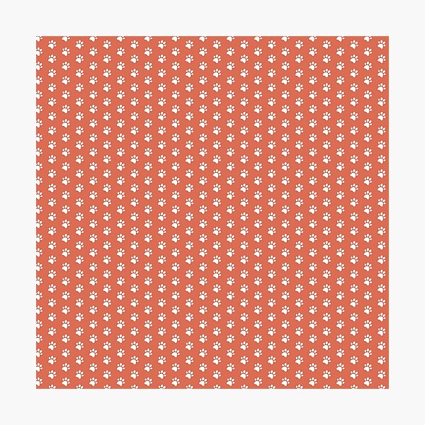 Cat Paw Print in White and Salmon Photographic Print