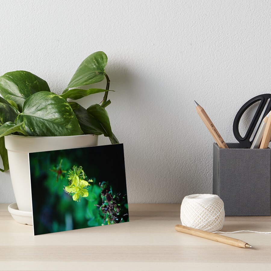 Item preview, Art Board Print designed and sold by cokemann.