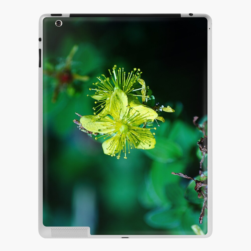 Item preview, iPad Skin designed and sold by cokemann.