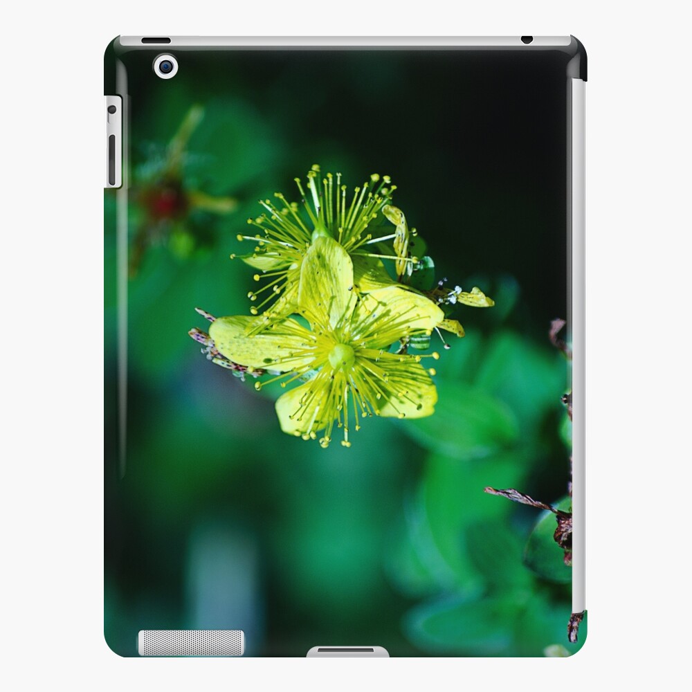 Item preview, iPad Snap Case designed and sold by cokemann.