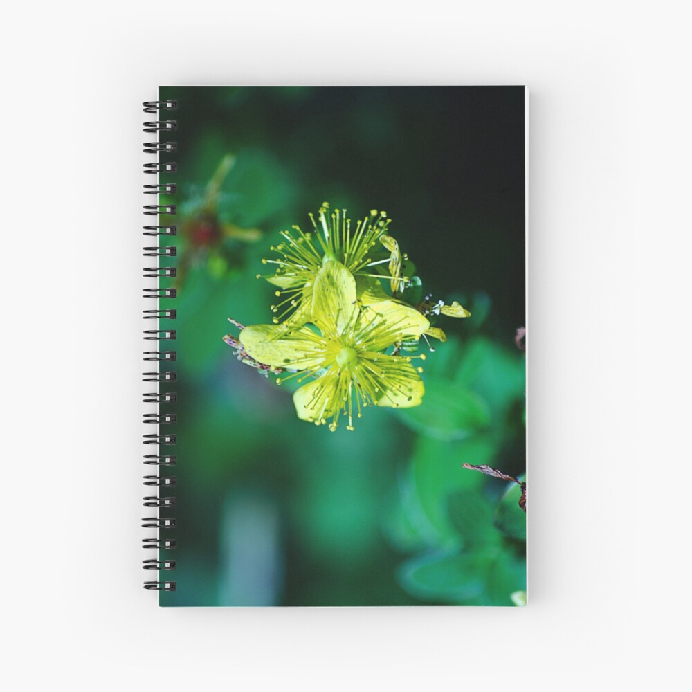 Item preview, Spiral Notebook designed and sold by cokemann.