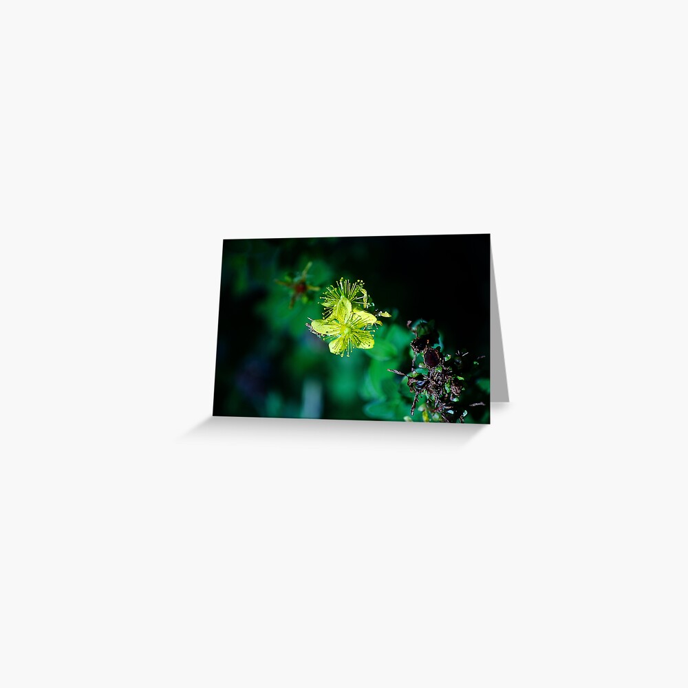 Item preview, Greeting Card designed and sold by cokemann.