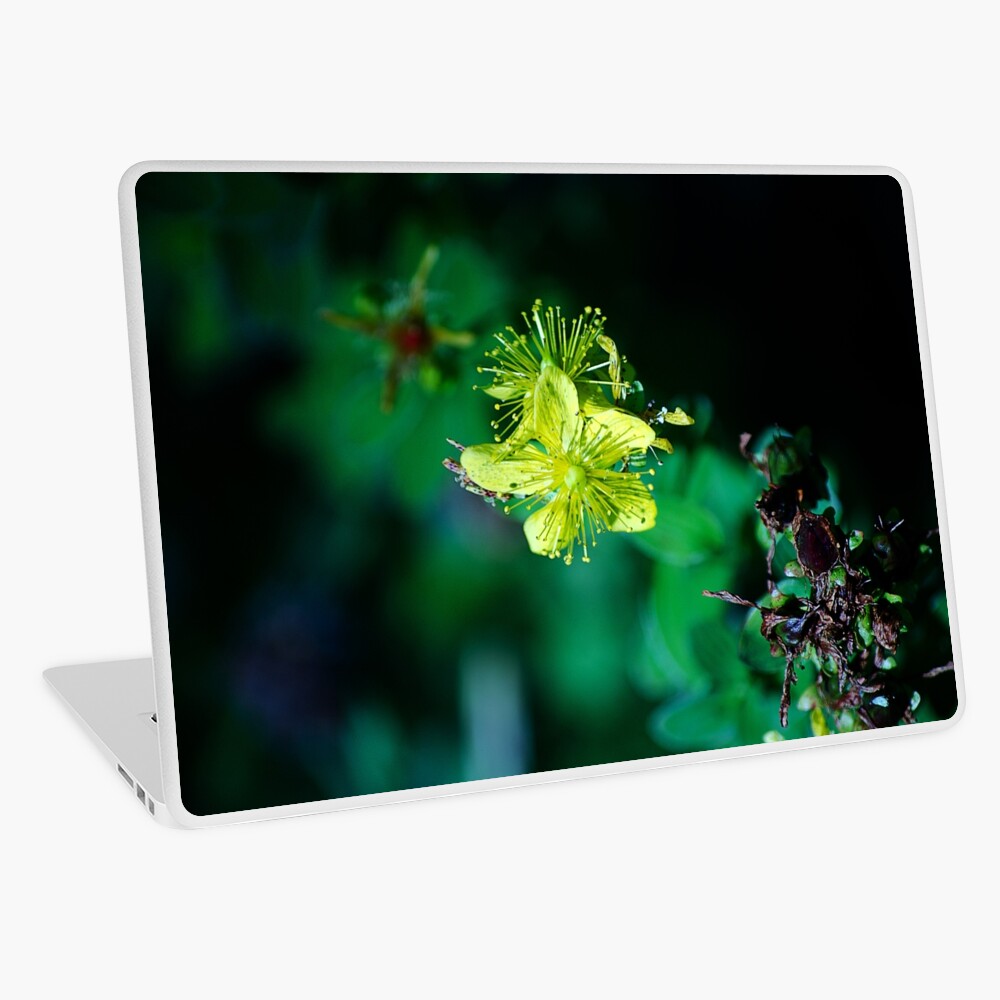 Item preview, Laptop Skin designed and sold by cokemann.