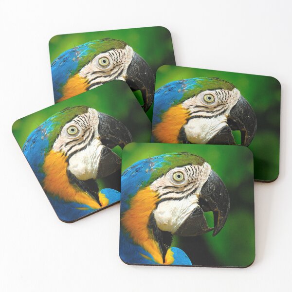 Item preview, Blue and gold Macaw designed and sold by khals1.