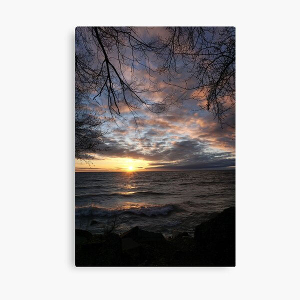 Take it slow Canvas Print