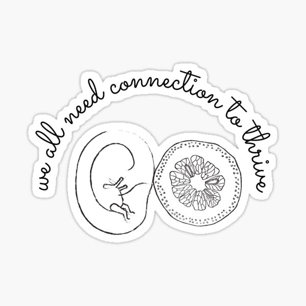 Item preview, connection to thrive designed and sold by Prospere.