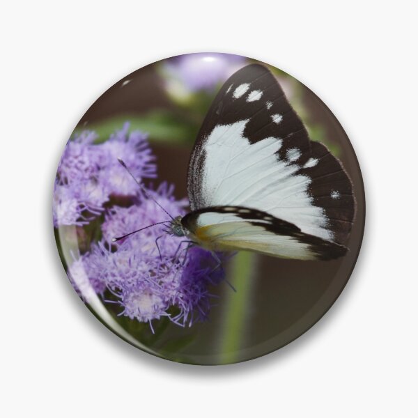 Item preview, White Caper butterfly designed and sold by MargsNaturePix.