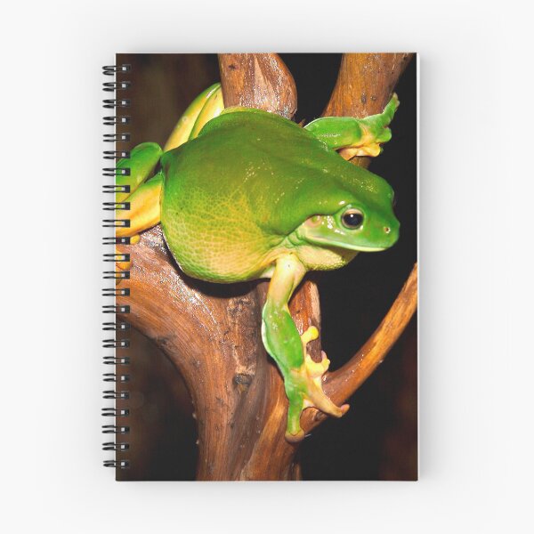 Item preview, Green tree frog designed and sold by khals1.