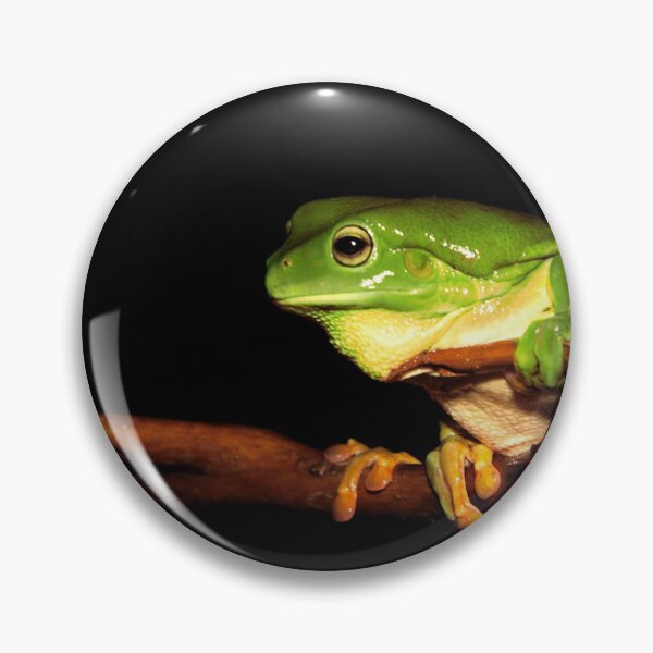 Item preview, Green tree frog designed and sold by khals1.