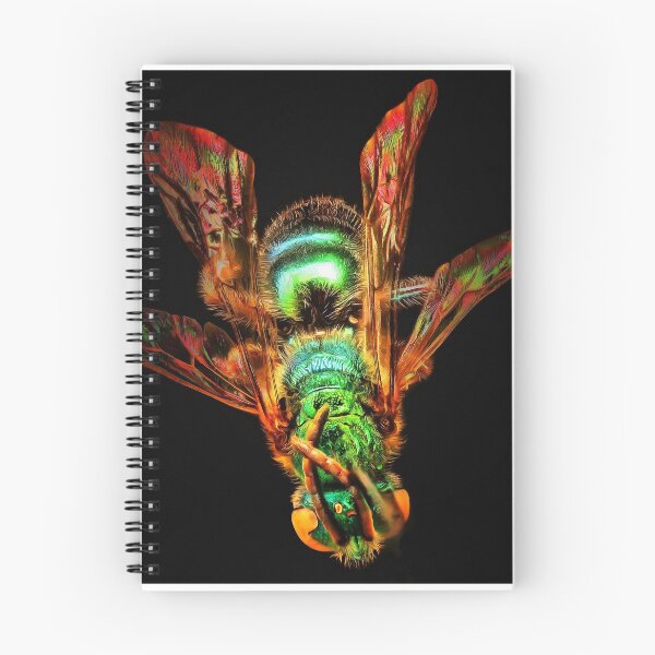 Item preview, Green and brown House Fly designed and sold by mittie101.