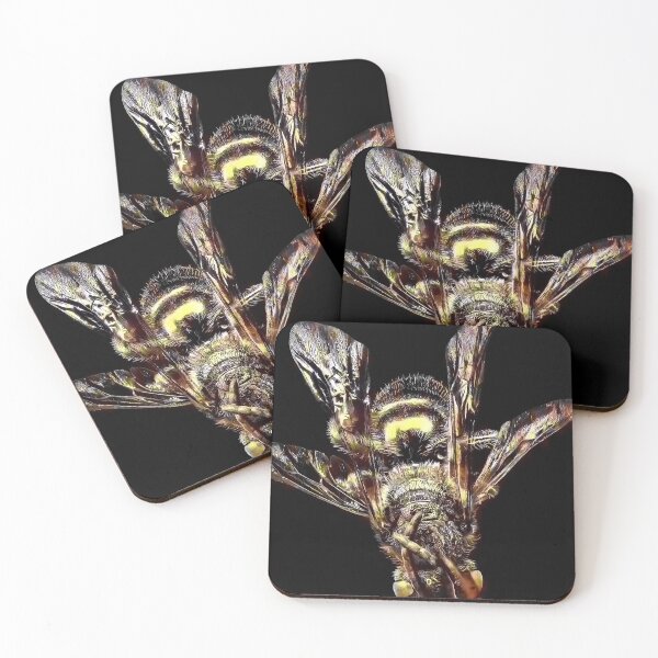 Item preview, Image of a house fly designed and sold by mittie101.