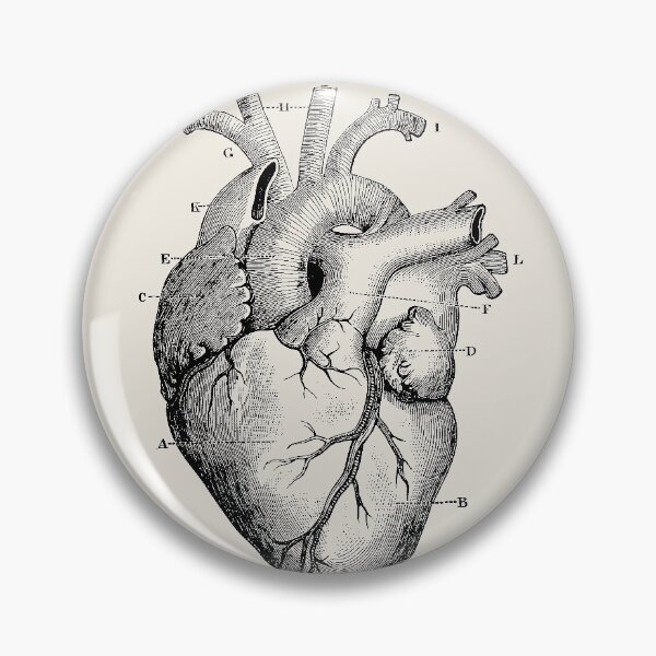 Item preview, Anatomical Heart designed and sold by silverman00.