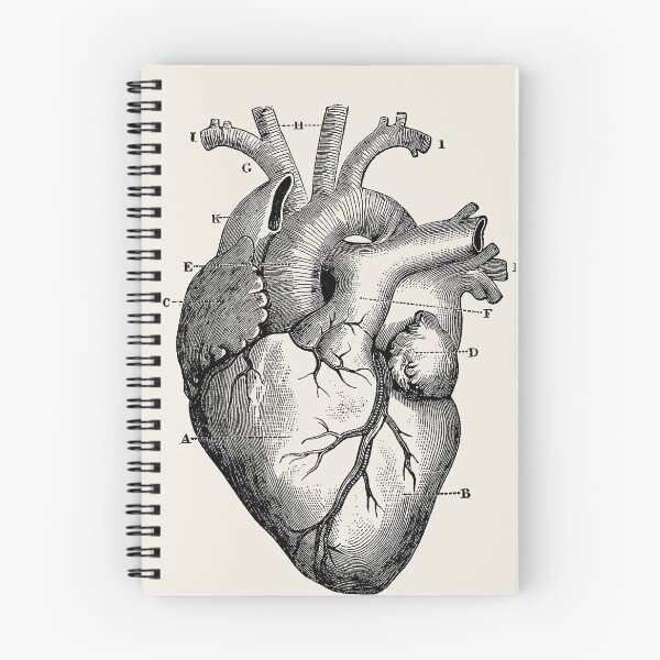 Item preview, Anatomical Heart designed and sold by silverman00.